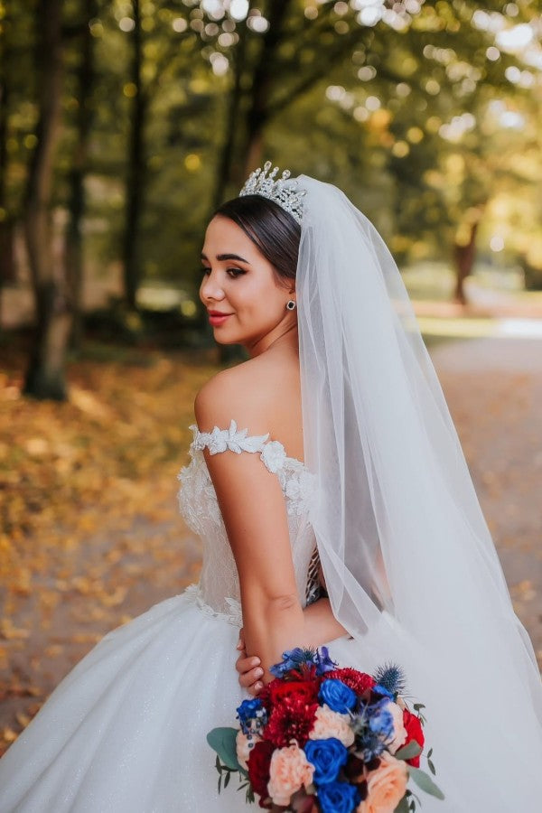 Bmbride Off the Shoulder Sleeveless V-neck Ball Gown Wedding Dress with Appliques