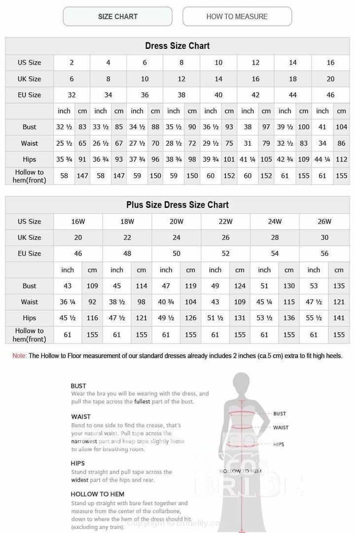 Bmbride V-Neck Sleeveless Appliques A-Line Floor-Length Prom Dresses
