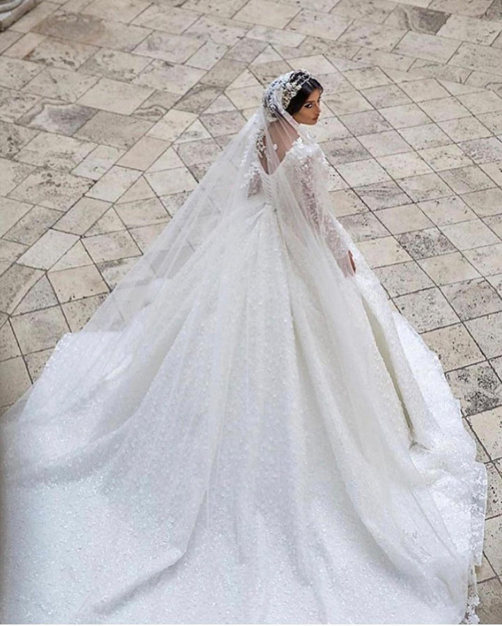 Bmbride A-Line Deep V-neck Appliques Lace Long Sleeve Train Wedding Dress